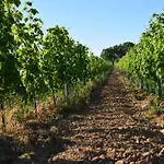 & Weingut Am Steingebiss