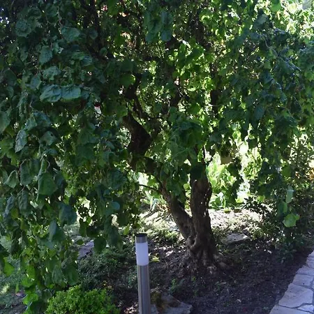 Casa de Campo & Weingut Am Steingebiss Billigheim-Ingenheim