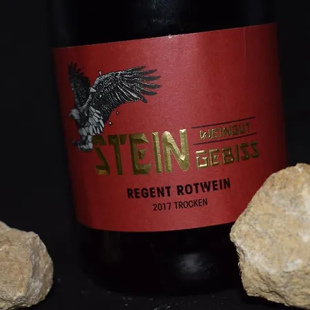 Country house & Weingut Am Steingebiss *