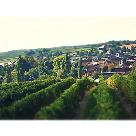 & Weingut Am Steingebiss Casa de Campo *