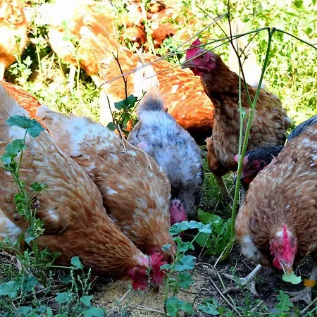 & Weingut Am Steingebiss *