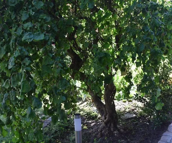 Landhuis & Weingut Am Steingebiss Billigheim-Ingenheim