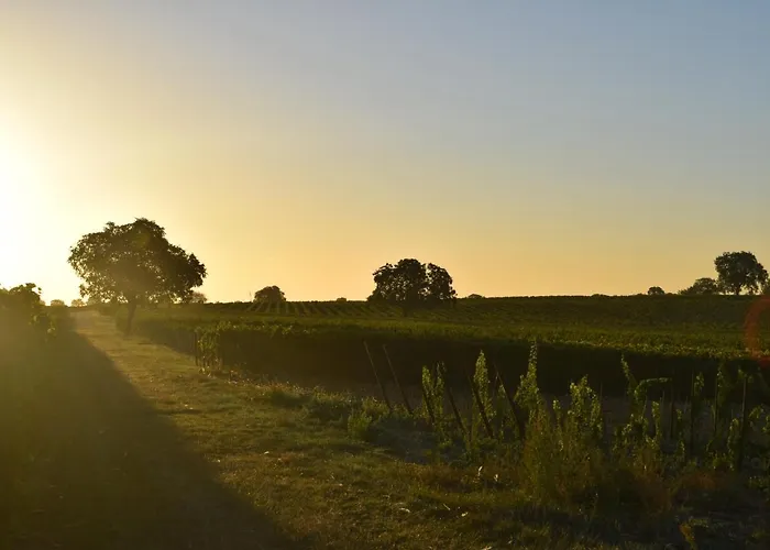 & Weingut Am Steingebiss