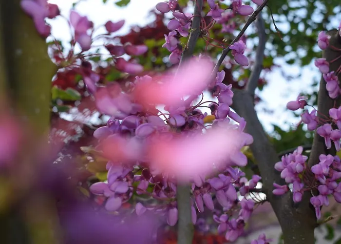 & Weingut Am Steingebiss *