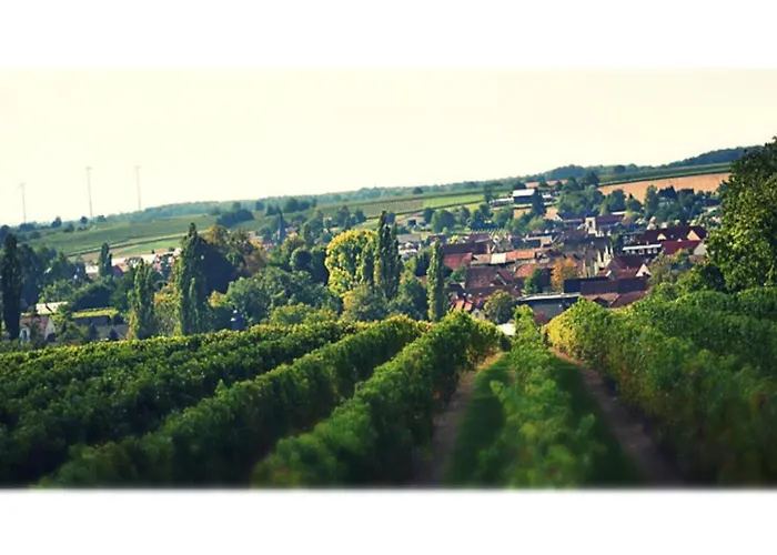 & Weingut Am Steingebiss Landhuis *