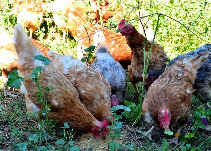 & Weingut Am Steingebiss *